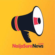 NaijaSureNews - Popular News Sites